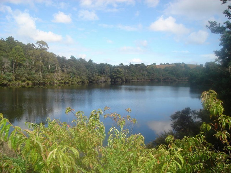 32267 Tasman Highway, Derby TAS 7264