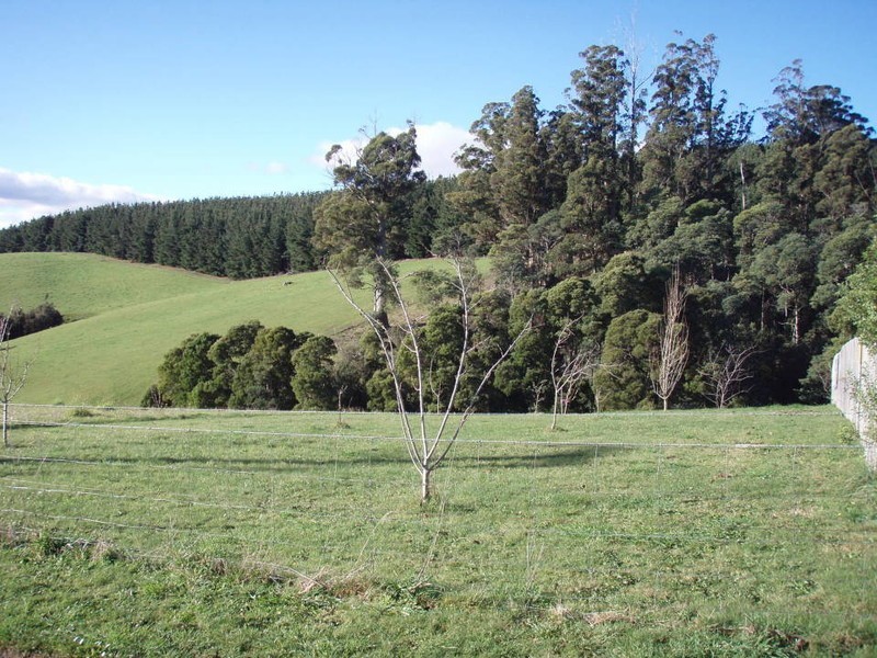 37 Beattie Road, Springfield, Scottsdale TAS 7260