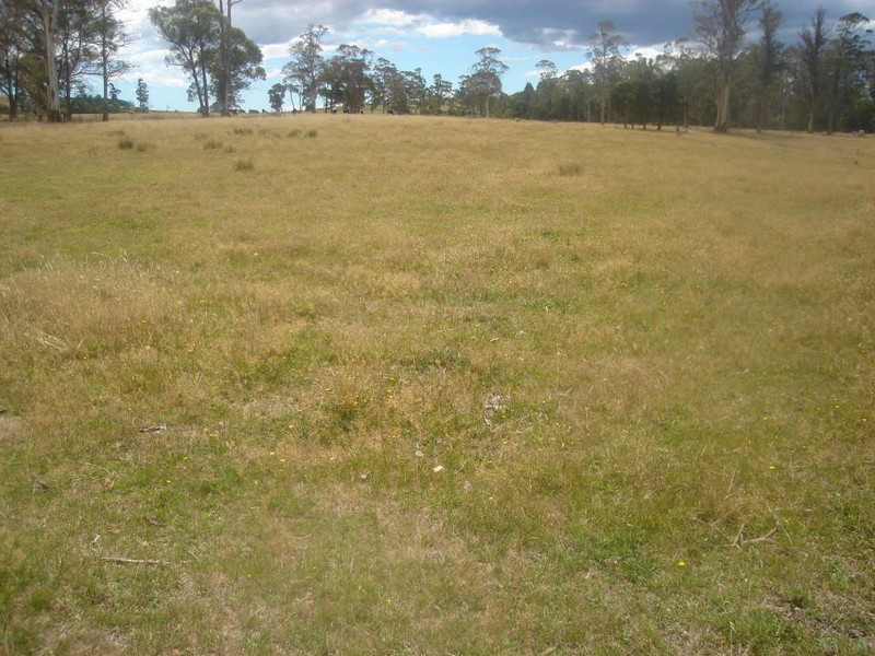 Lot 1 Buckneys Road, Scottsdale TAS 7260