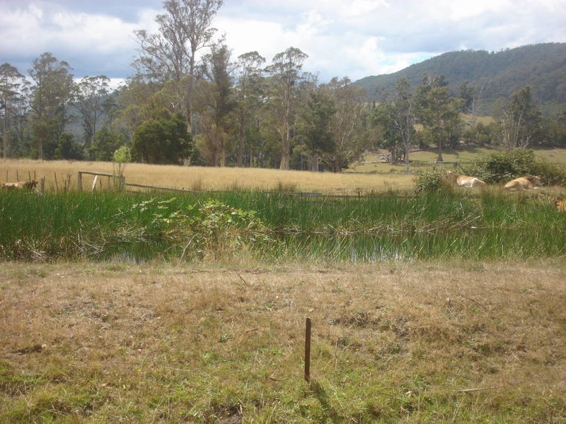 Lot 1 Buckneys Road, Scottsdale TAS 7260