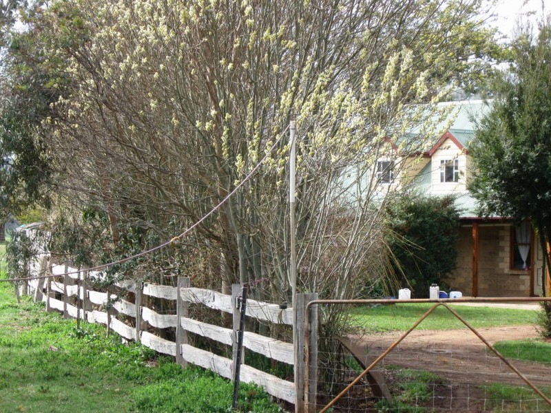 21 Diprose Street, Legerwood TAS 7263