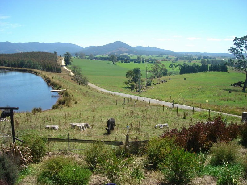 9 Barnett Road, Ringarooma TAS 7263