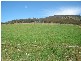 9 Barnett Road, Ringarooma TAS 7263