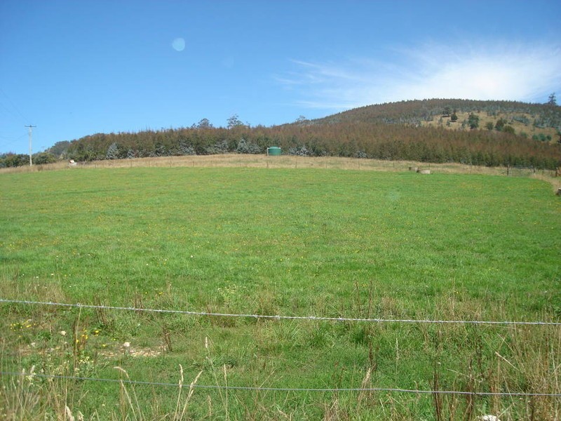 9 Barnett Road, Ringarooma TAS 7263