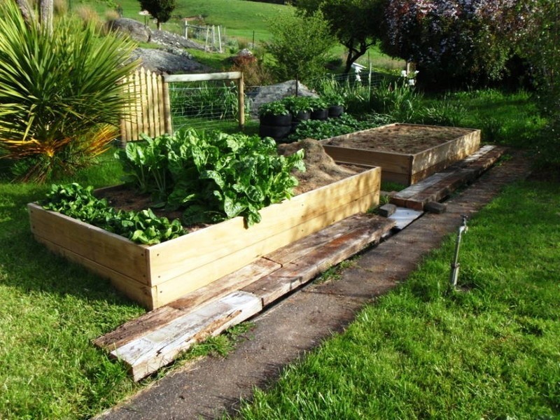 40 Mountain Road, Lilydale, Scottsdale TAS 7260