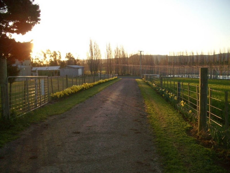 673 Legerwood Lane, Legerwood TAS 7263