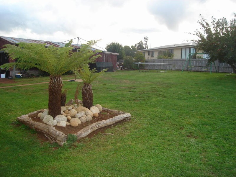 43 Winnaleah Road, Winnaleah TAS 7265