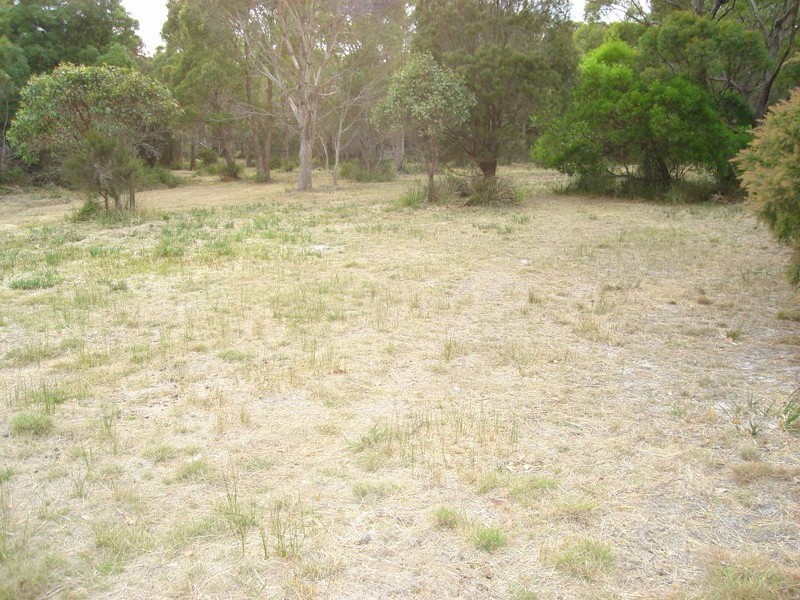 15 Camm Court, Bridport TAS 7262