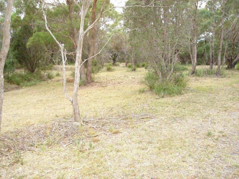 15 Camm Court, Bridport TAS 7262