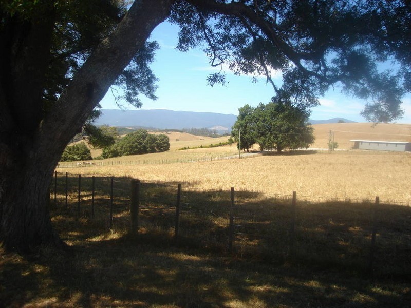 308 Sledge Track, Scottsdale TAS 7260
