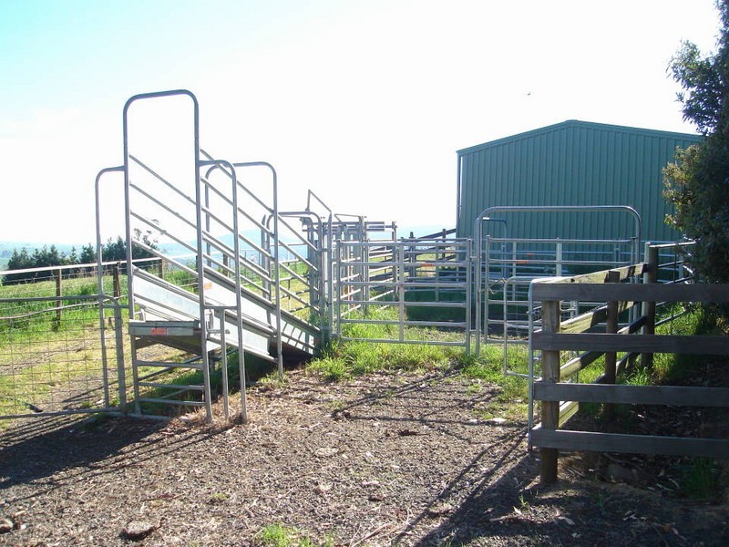 321 East Minstone Road, Scottsdale TAS 7260