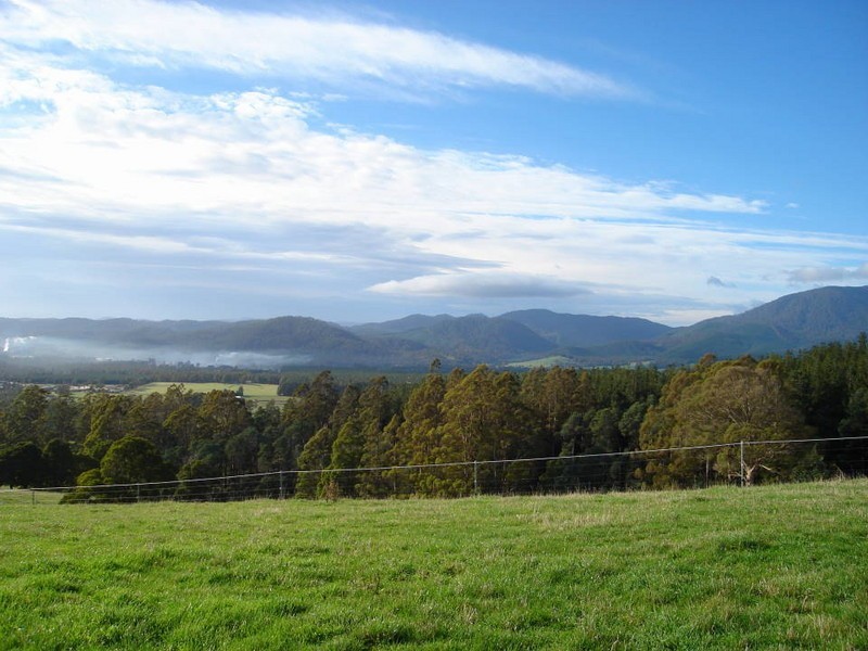 321 East Minstone Road, Scottsdale TAS 7260