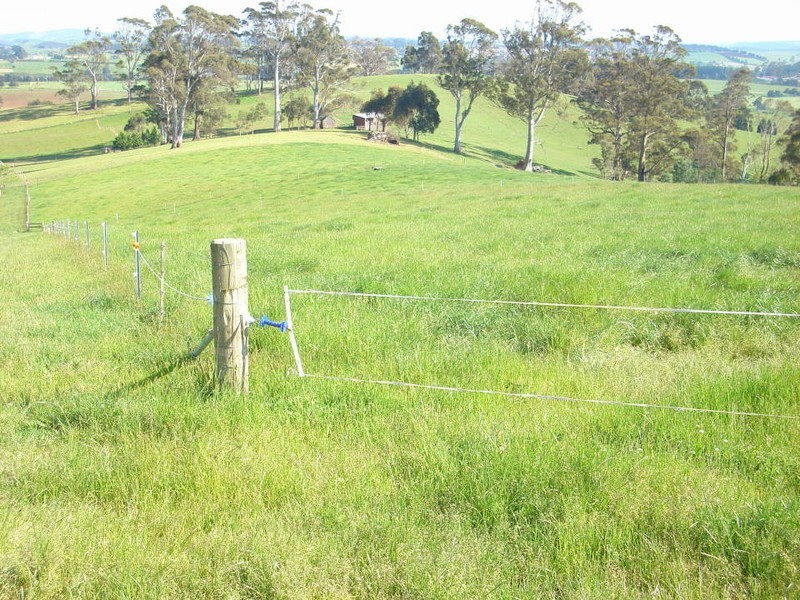 321 East Minstone Road, Scottsdale TAS 7260