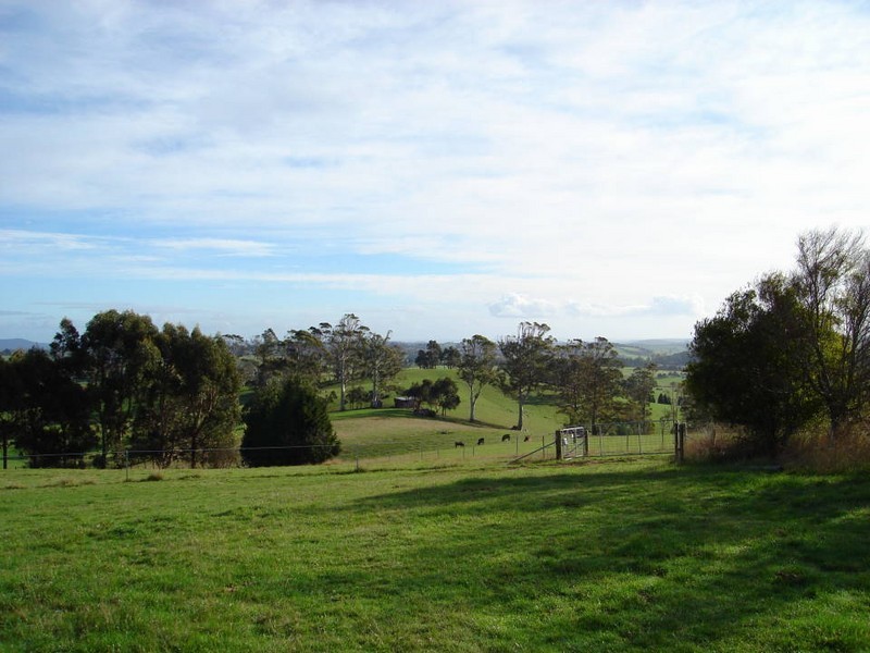 321 East Minstone Road, Scottsdale TAS 7260