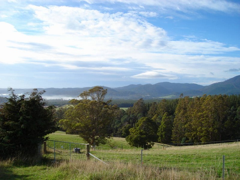 321 East Minstone Road, Scottsdale TAS 7260