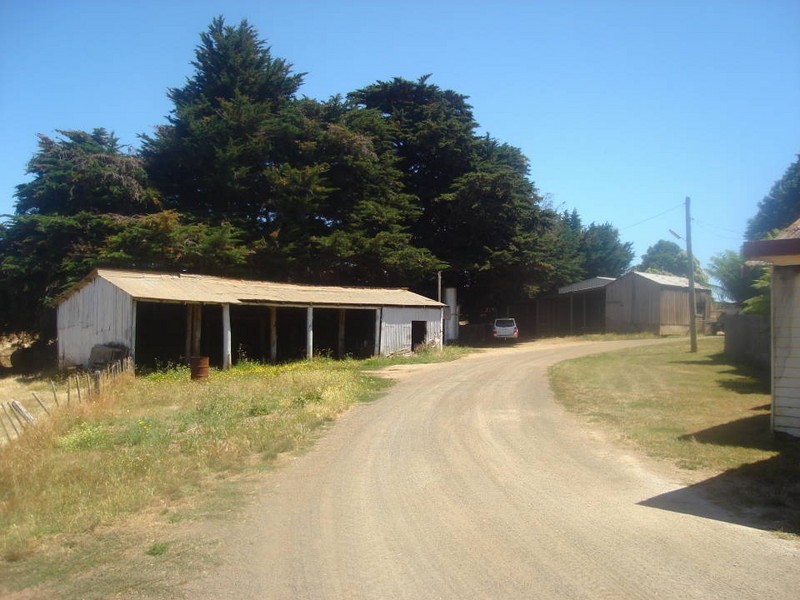 308 Sledge Track, Scottsdale TAS 7260