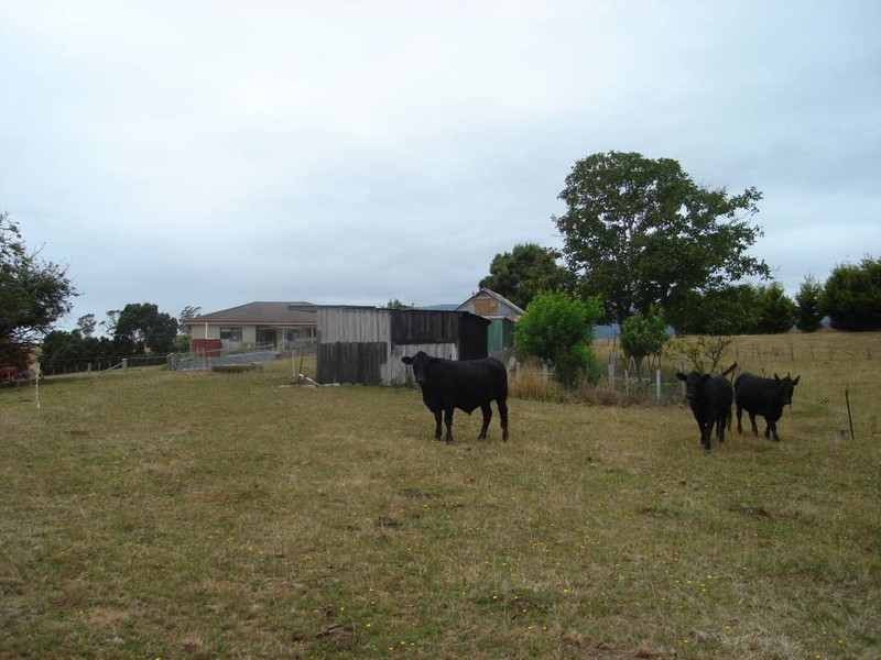 36118 Tasman Highway, Scottsdale TAS 7260