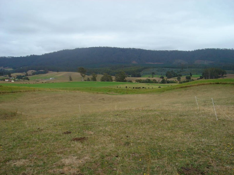 36118 Tasman Highway, Scottsdale TAS 7260