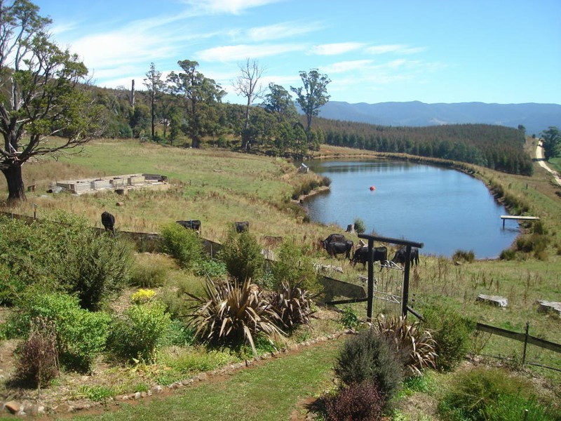 9 Barnett Road, Ringarooma TAS 7263