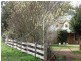 21 Diprose Street, Legerwood TAS 7263