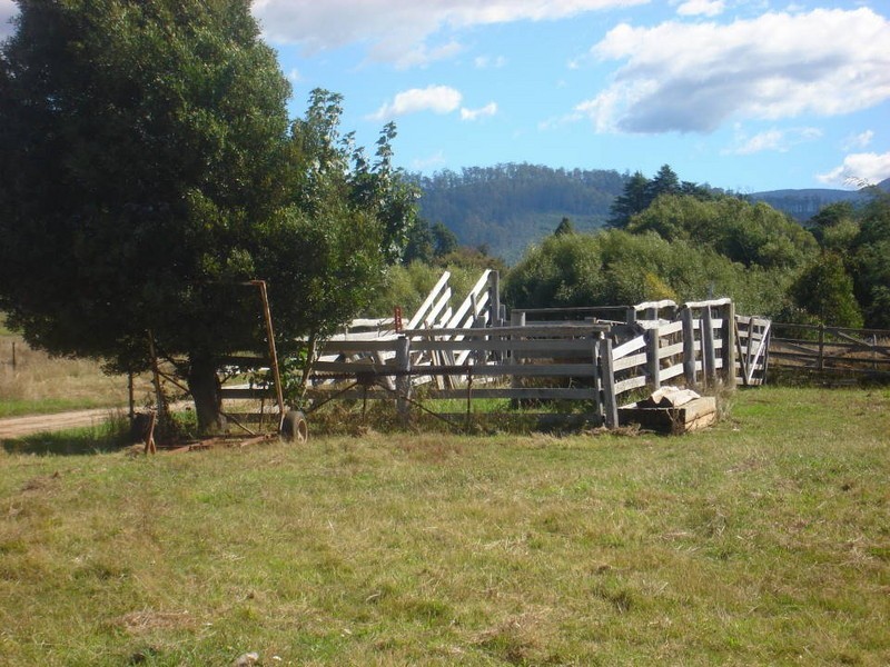 21 Diprose Street, Legerwood TAS 7263