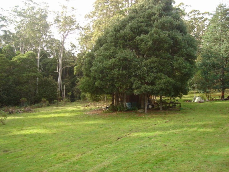 31 Banks Road, Derby TAS 7264