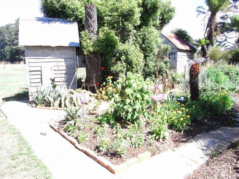 81 East Minstone Road, Scottsdale TAS 7260