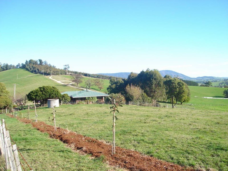 444 East Minstone Road, Scottsdale TAS 7260