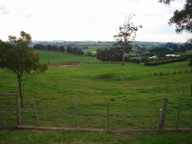 444 East Minstone Road, Scottsdale TAS 7260