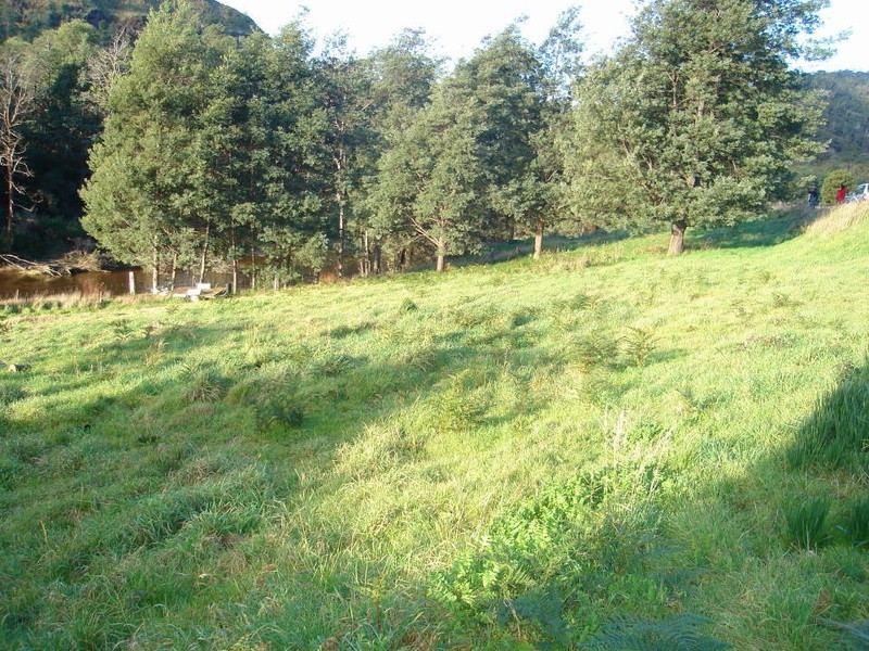 Main Street, Derby TAS 7264