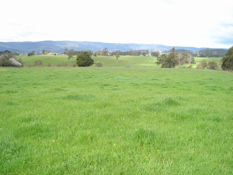 252 East Maurice Road, Ringarooma TAS 7263