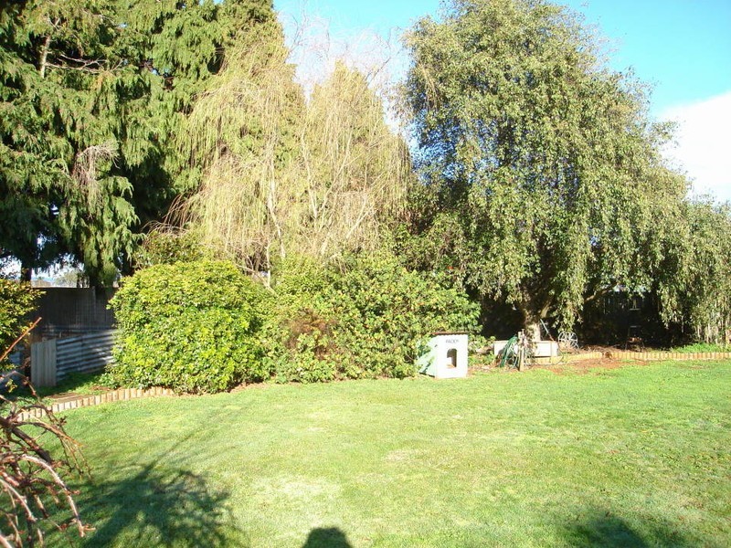 36 Beattie Street, Scottsdale TAS 7260