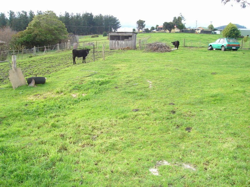 35052 Tasman Highway, Scottsdale TAS 7260