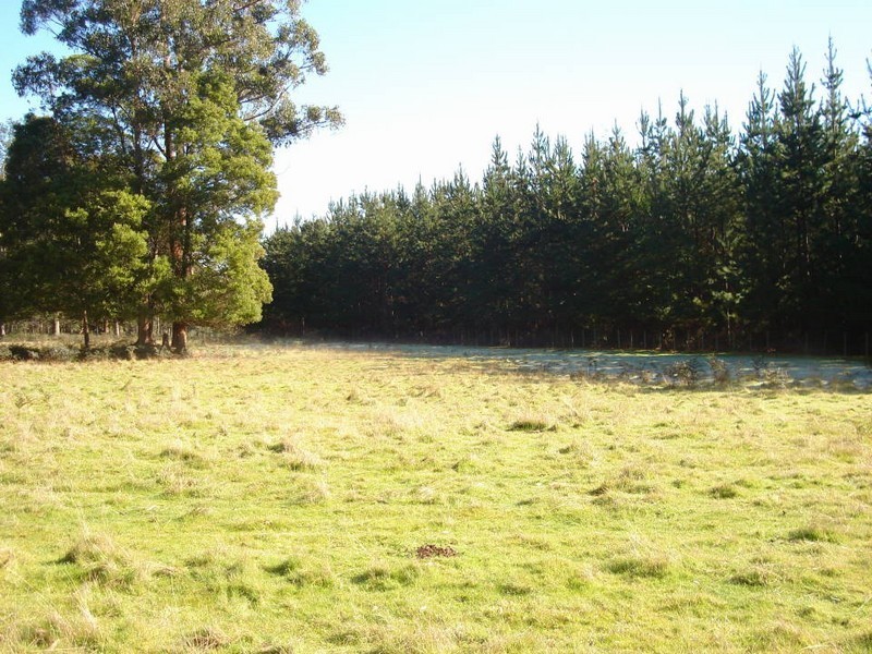 2 MacKenzie Valley Road, Cuckoo, Scottsdale TAS 7260