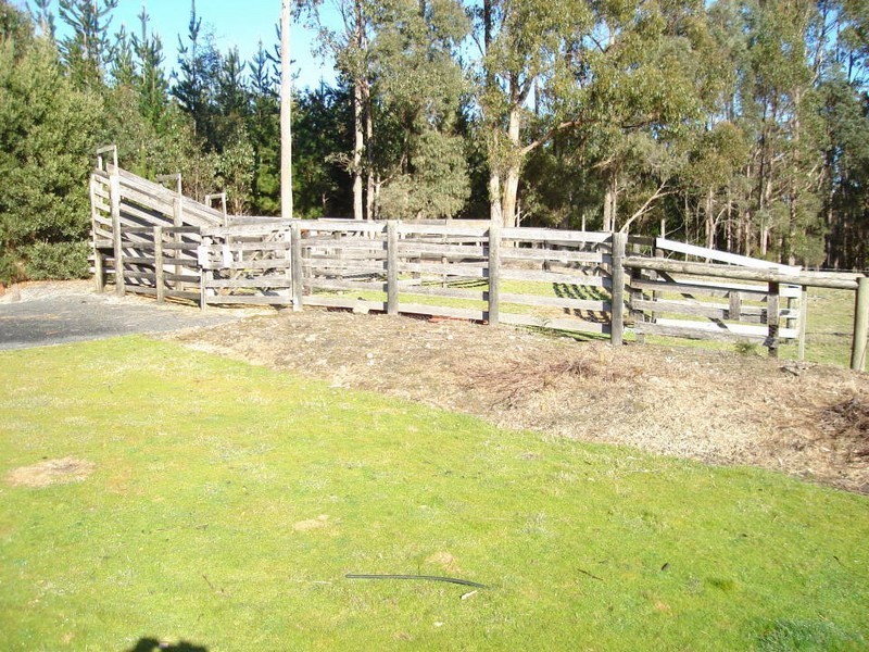 2 MacKenzie Valley Road, Cuckoo, Scottsdale TAS 7260