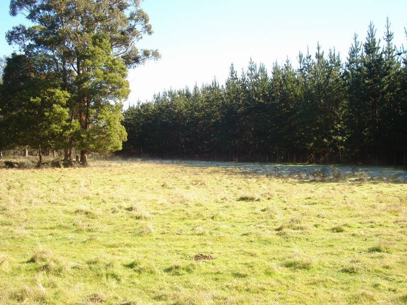 2 MacKenzie Valley Road, Cuckoo, Scottsdale TAS 7260