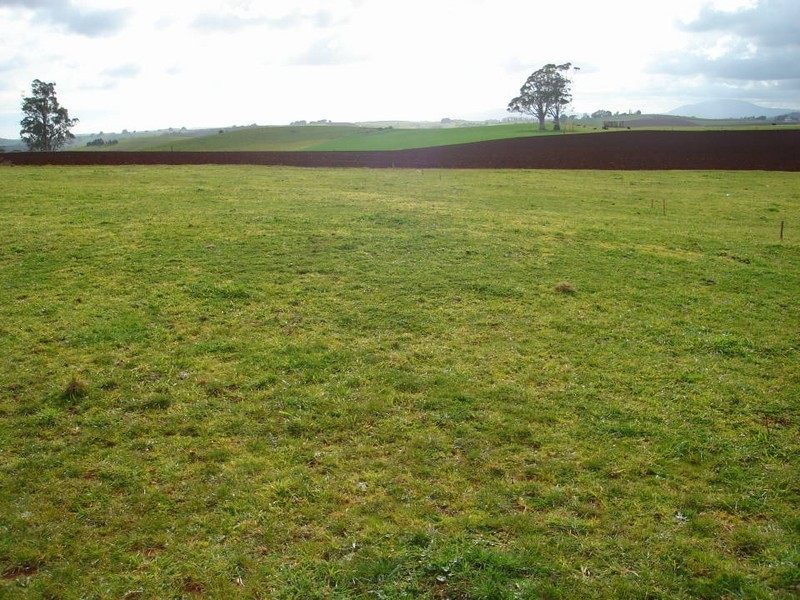 6  Aikman Court, Scottsdale TAS 7260