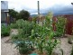 46 East Maurice Road, Ringarooma TAS 7263
