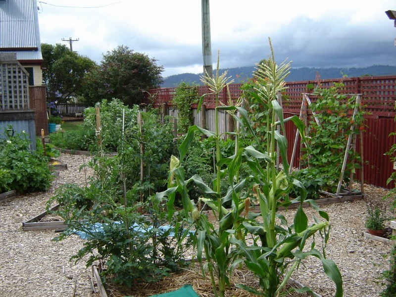 46 East Maurice Road, Ringarooma TAS 7263