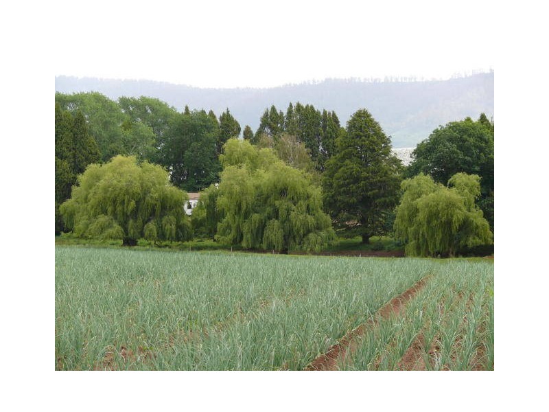 141 West Minstone Road, Scottsdale TAS 7260
