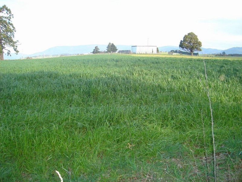 141 West Minstone Road, Scottsdale TAS 7260