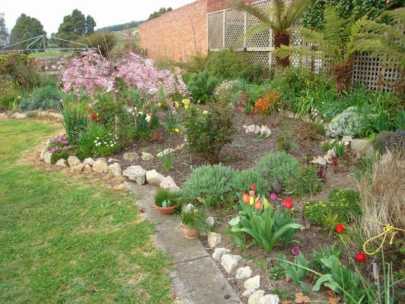 51 Ringarooma Road, Scottsdale TAS 7260