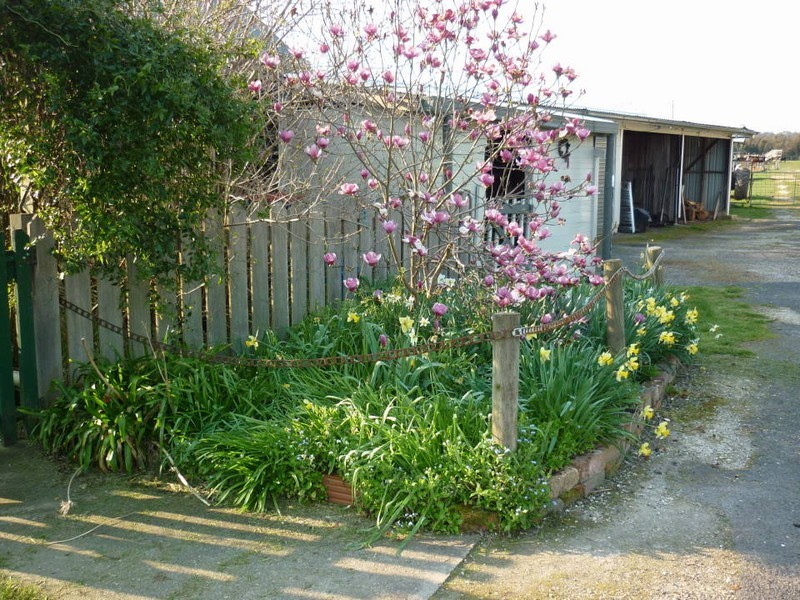 2429 Golconda Rd, Nabowla, Scottsdale TAS 7260