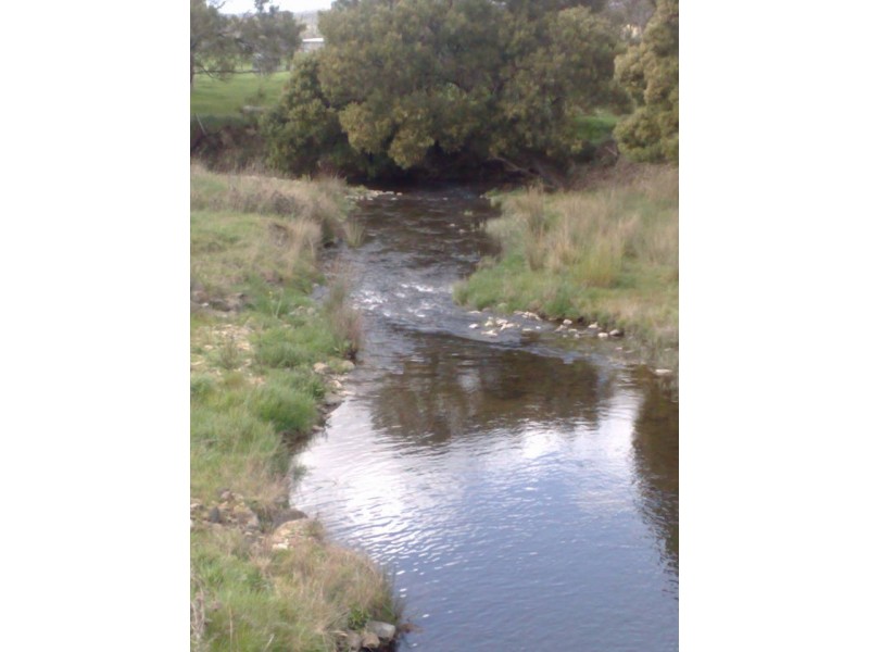 2429 Golconda Rd, Nabowla, Scottsdale TAS 7260