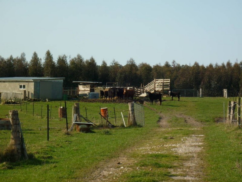 2429 Golconda Rd, Nabowla, Scottsdale TAS 7260