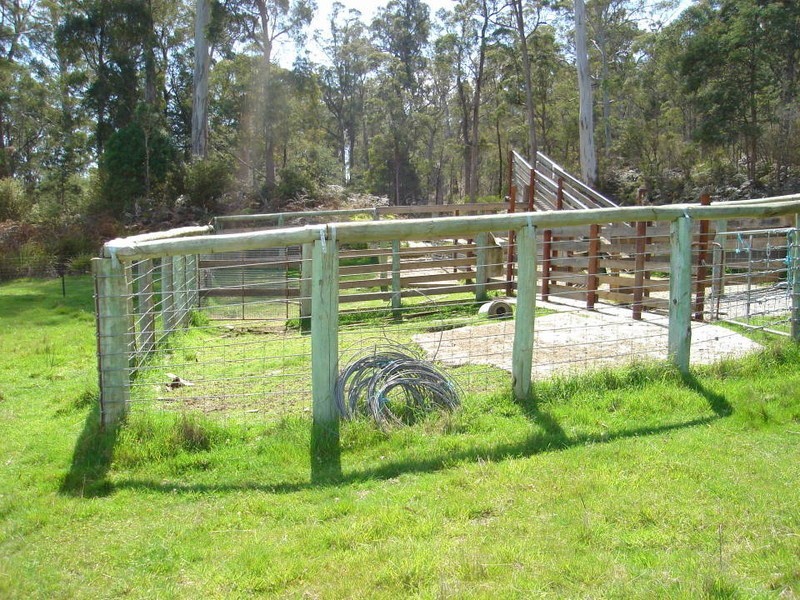 Jensen’s Road, Scottsdale TAS 7260