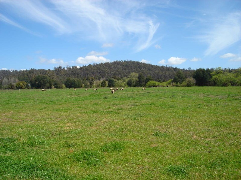 Jensen’s Road, Scottsdale TAS 7260