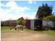 21 Frederick Street, Ringarooma TAS 7263