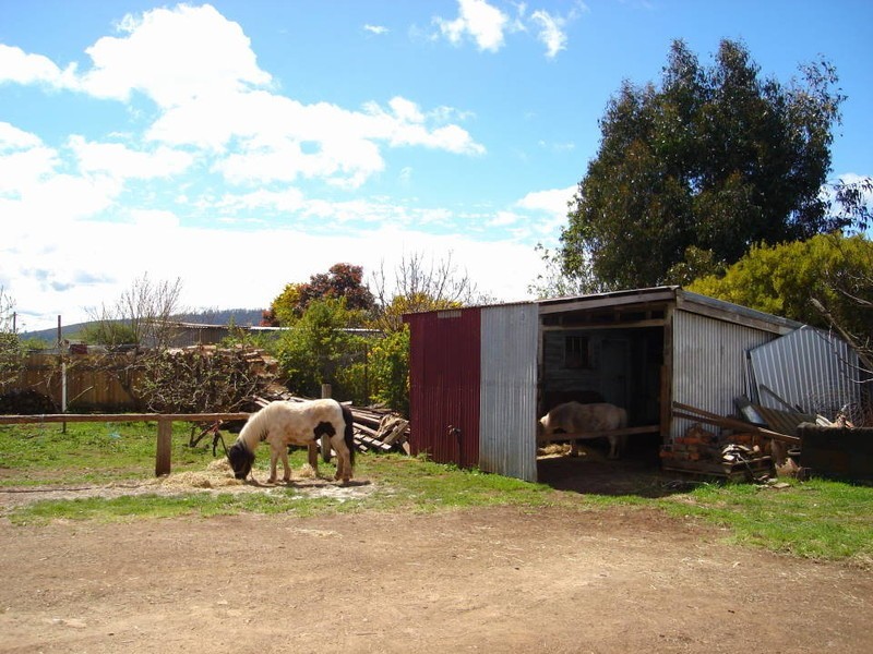 21 Frederick Street, Ringarooma TAS 7263