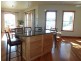 29 Alfred Street, Scottsdale TAS 7260
